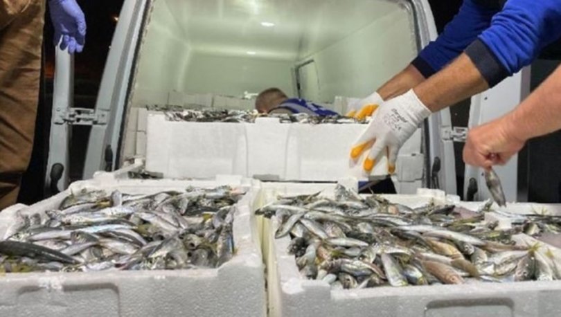 İzmir Balık Halinde Yasaklı Avlanan 8 Ton Balığa El Konuldu