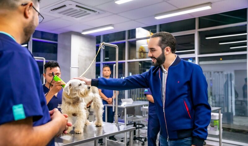Bukele, Bitcoin Gelirleriyle Hayvanlar İçin Hastane Açtı