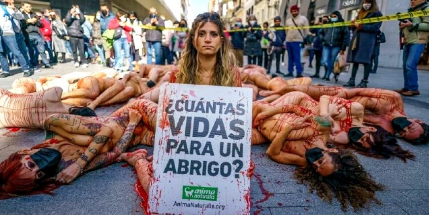 İspanya’da Hayvan Hakları Savunucularından Çarpıcı Eylem