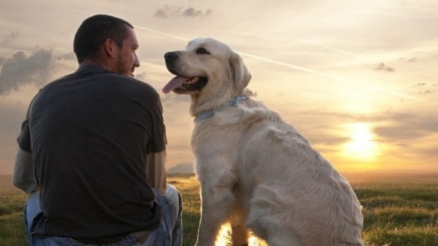 Araştırma: Köpek Sevgisi Tıbben Faydalı