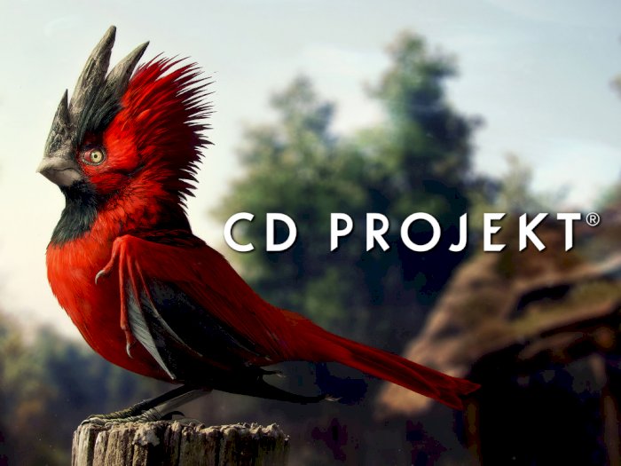 CD Projekt’in 2 Farklı Projesi Bulunuyor