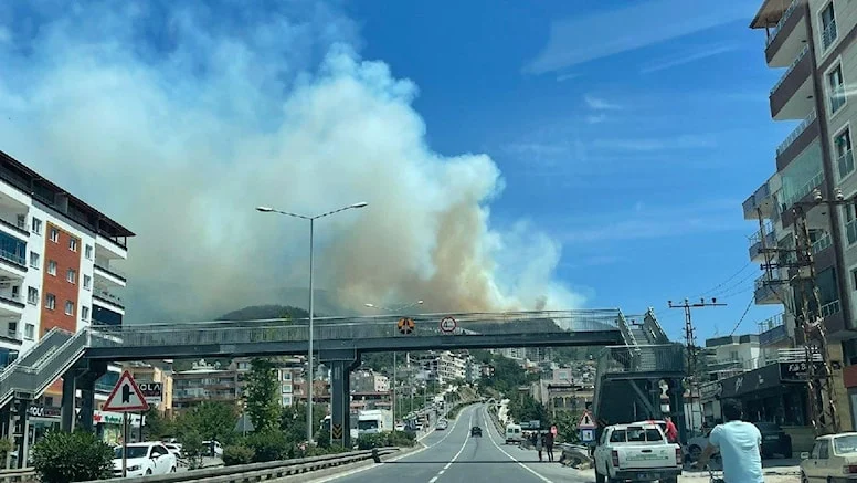 Antalya ve Hatay’da Ormanlık Alanda Yangın Çıktı!
