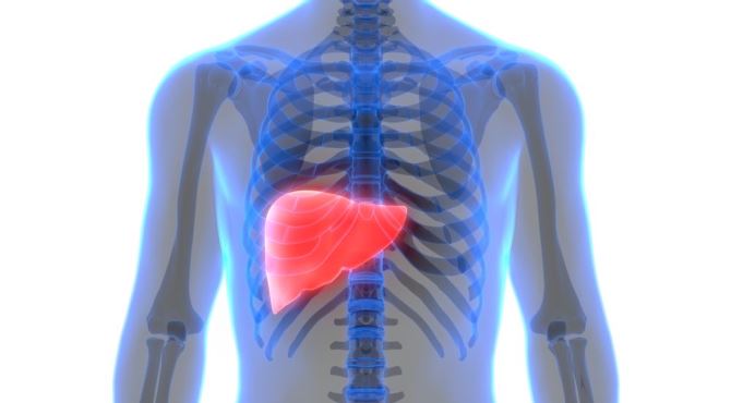 NASH: Yağlı Karaciğer Hastalığı Nedir?