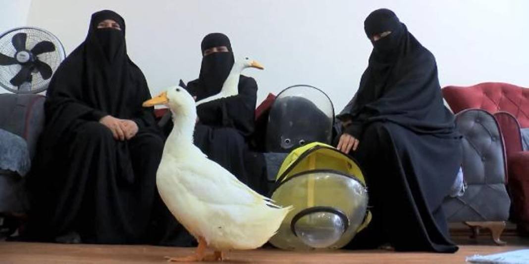 İçişleri Bakanlığı Ördekler İçin Harekete Geçti