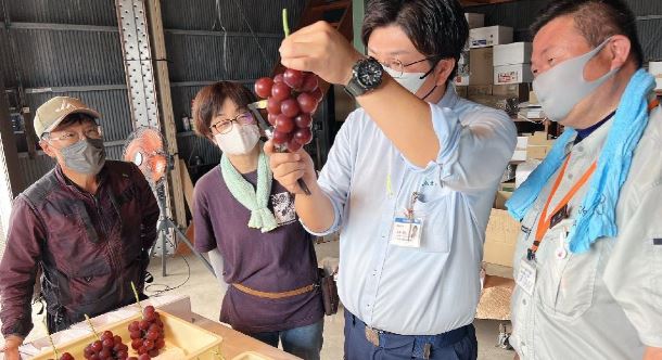 Japonya’da Dudak Uçuklatan Fiyat; Ruby Roman Üzümü 10 Bin 800 Dolar