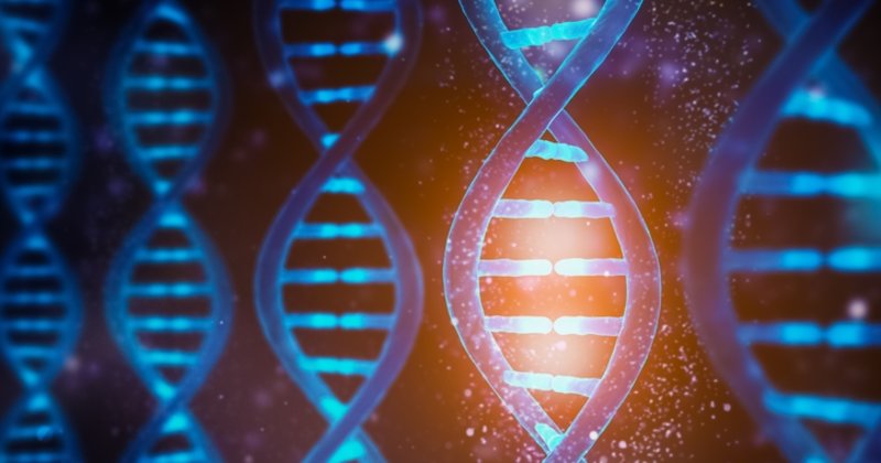 DNA ve RNA Nedir?
