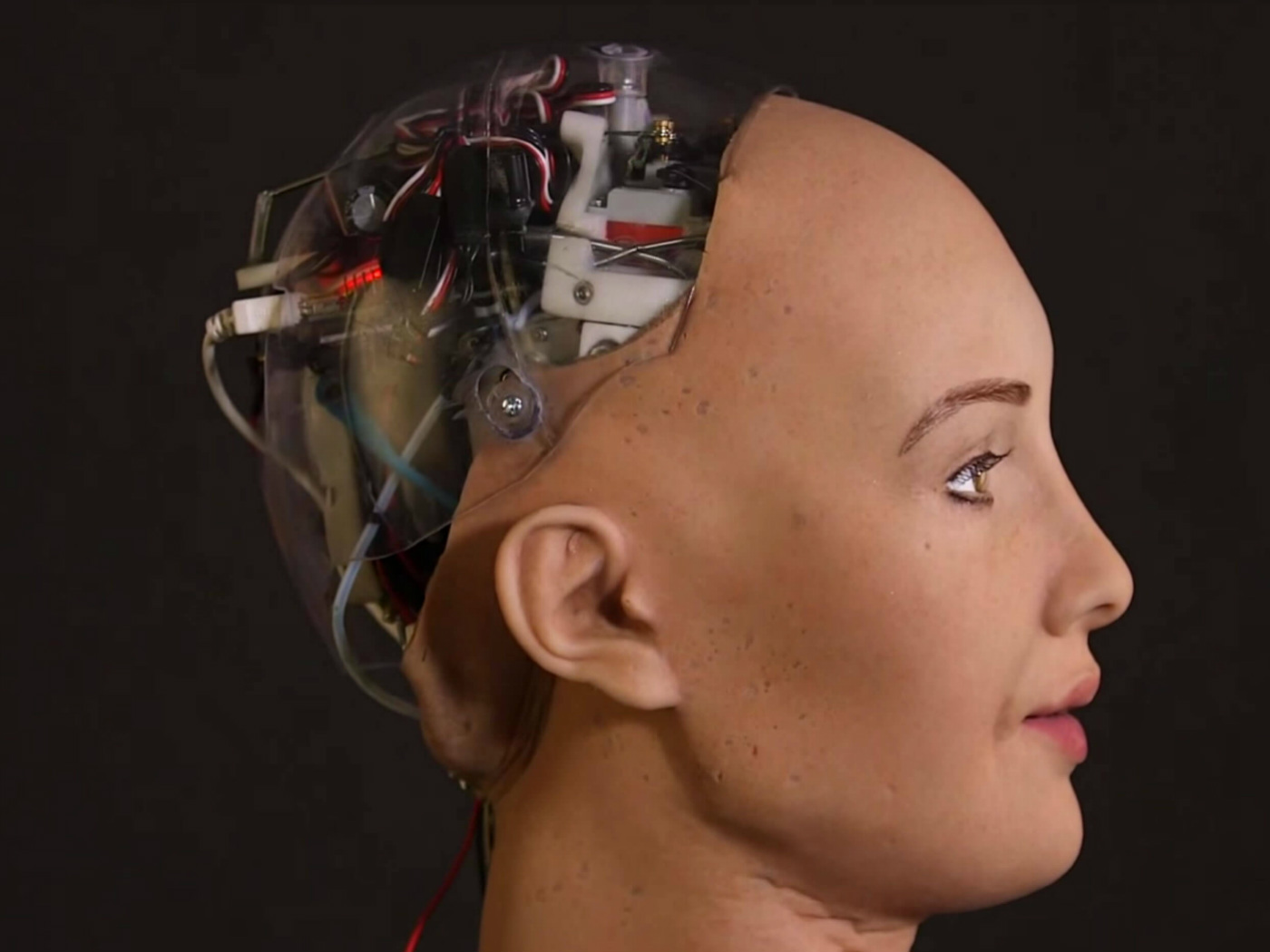 İleride İnsanlığı Robot Felaketleri Mi Bekliyor?
