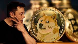 Elon Doge Coin'i Uçurdu!
