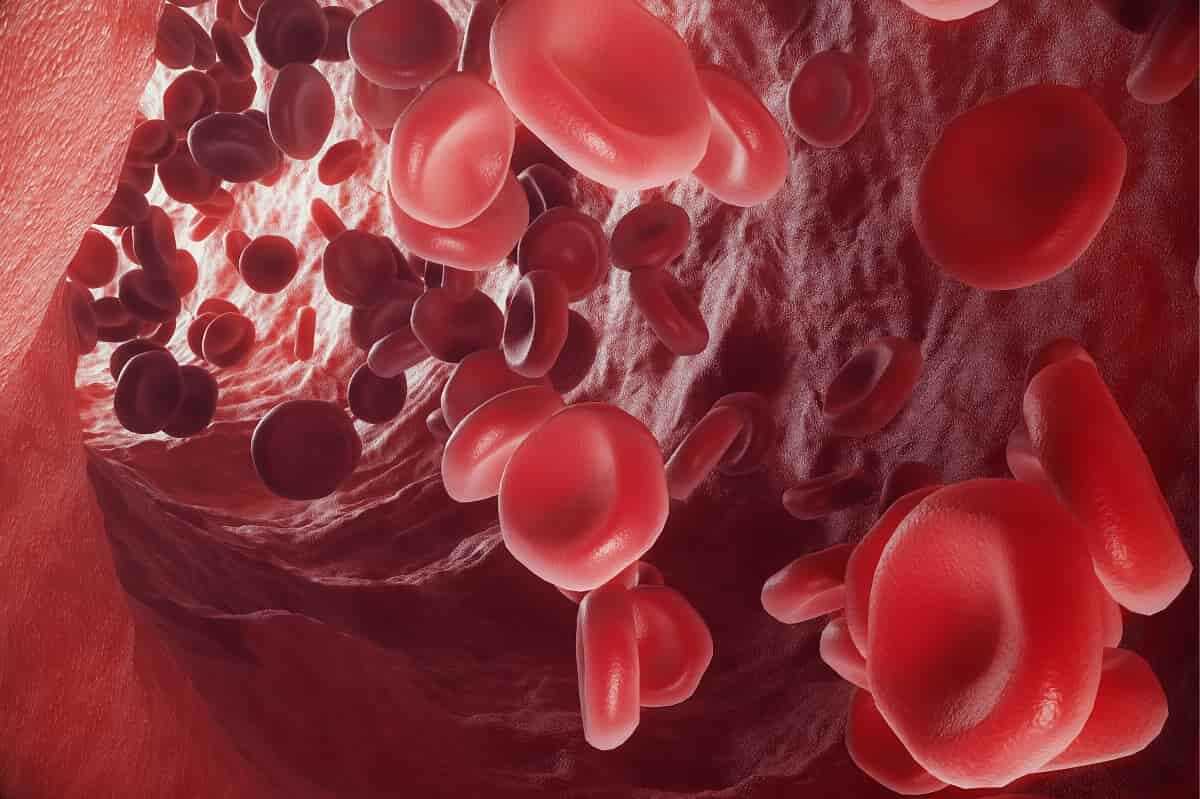 Hemoglobin (HGB) Nedir? HGB Düşüklüğü Nedir?