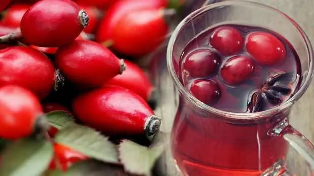 Kuşburnu Nedir? Kuşburnunun Faydaları Nelerdir?