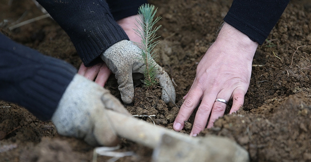 OGM Personel Alımı Müjdesini Verdi! Alımlar Ne Zaman, Şartları Ne?