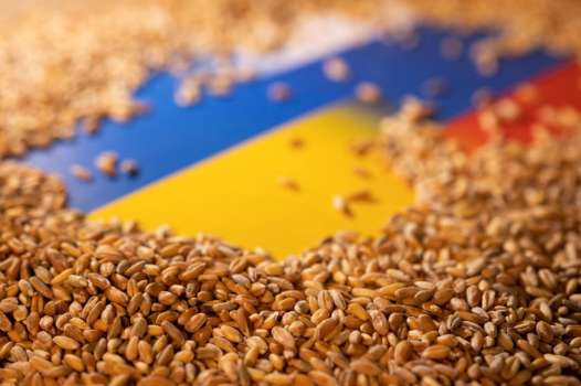 Ukrayna'dan Ne kadar Tahıl Taşındı?