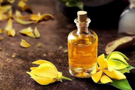 Ylang Ylang Yağı Nedir? Ylang Ylang Yağının Faydaları Nelerdir?