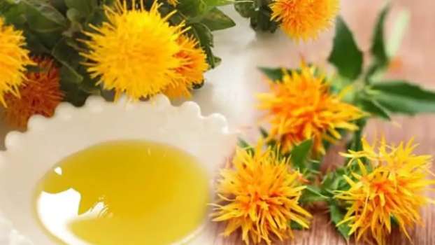 Aspir Yağı Nedir? Aspir Yağının Faydaları Nelerdir?