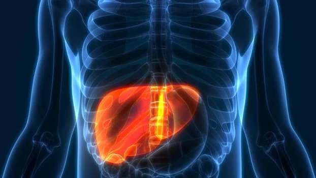 AST: Aspartat Aminotransferaz Nedir?