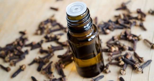 Karanfil Kürü Tarifi Nedir? Karanfil Kürü Faydaları Nelerdir?