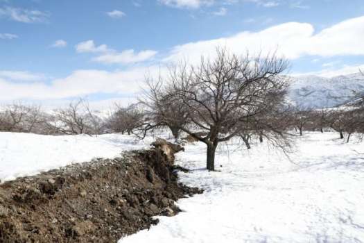 Malatya Doğanşehir'in Köylerinde Deprem Nedeniyle Derin Yarıklar Oluştu
