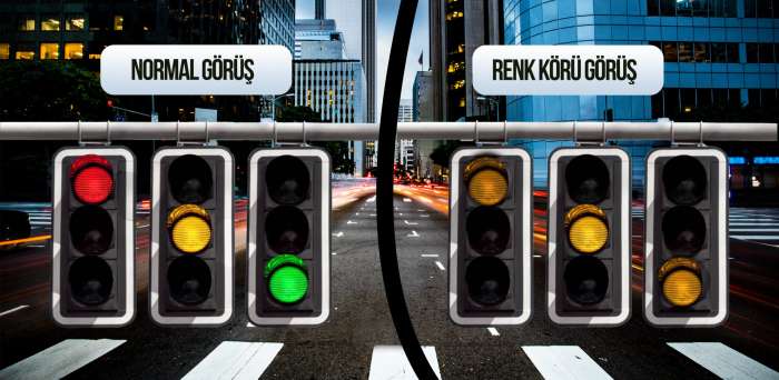 Renk Körlüğü Nedir, Renk Körlüğü Testi Nasıl Yapılır?