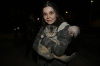 Diyarbakır'da Kedi Kurtarma Operasyonu! 'Zena' Kurtarıldı!