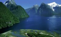 Yeni Zelanda Vizesi Nasıl Alınır: 2023 Vize Ücreti Ne Kadar?