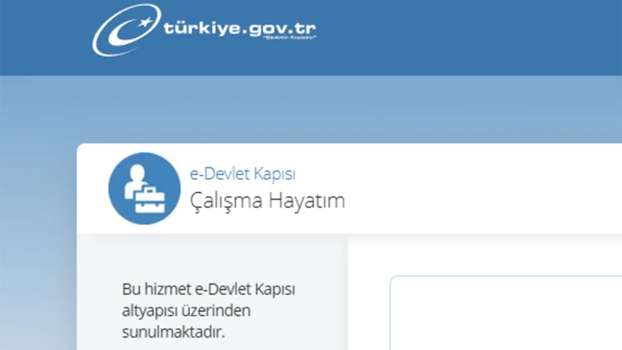 E-Devlet Çalışma Hayatım Hizmeti Nedir?