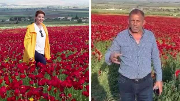 Gelincik Tarlasına Giren Gülben Ergen’e Tarla Sahibinden Tepki