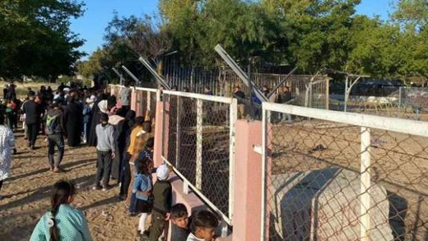 Hayvanat Bahçesinde Aslanın Saldırdığı Çocuk Hayatını Kaybetti