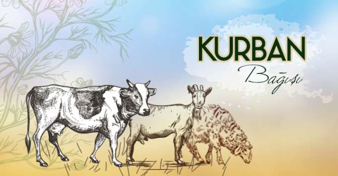 2023 Kurban Bağışı Fiyatları Ne Kadar? 2023 Kurban Fiyatları...