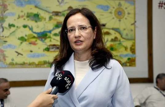 Fatma Varank Bakan Yardımcısı Oldu! Fatma Varank Kimdir?