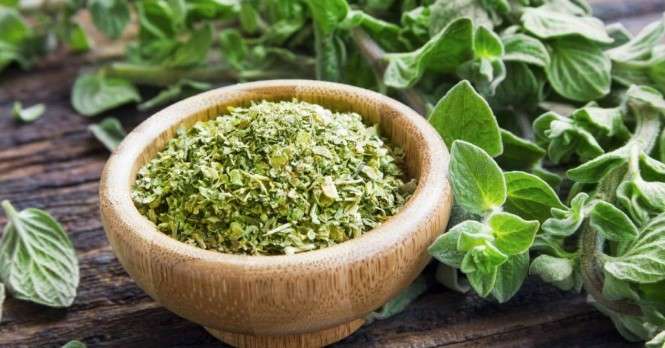 Kekik Suyu Faydaları Nelerdir? Nelere İyi Gelir?