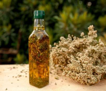 Kekik Yağı Nedir? Kekik Yağı Ne İşe Yarar? Faydaları Nelerdir?