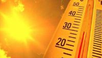 Yüksek Sıcaklık Can Aldı; 34 Kişi Hayatını Kaybetti