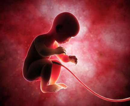 Kordon Kanı Nedir? Kordon Kanı Neden Saklanır?