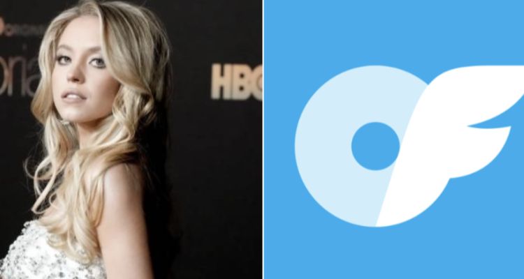 Euphoria 3. Sezon: Cassie İçin OnlyFans İddiası Gerçek Mi?