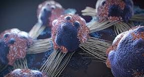 Kanser Sadece Genetik Mi? Kanser-Metabolizma İlişkisi