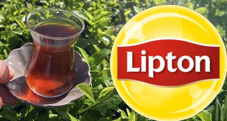 Lipton Türkiye’de Çay Üretimini Durdurdu: Öz-Gür Çay’a Devredildi
