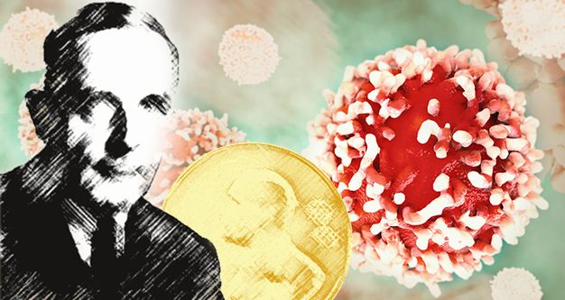 Warburg Etkisi Nedir? Hücresel Enerji, Oksijen Ve Sağlık