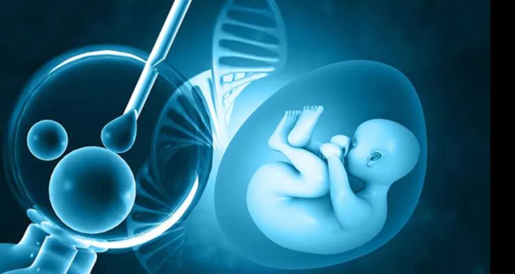 Tüp Bebek Skandalı: Kadın Yanlışlıkla Başka Çiftin Bebeğini Doğurdu