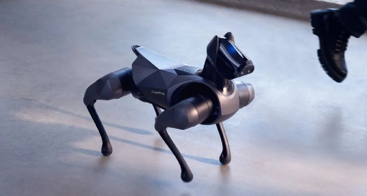 İstanbul’da Tasmayla Gezdirdikleri Robot Köpekler Şaşırttı