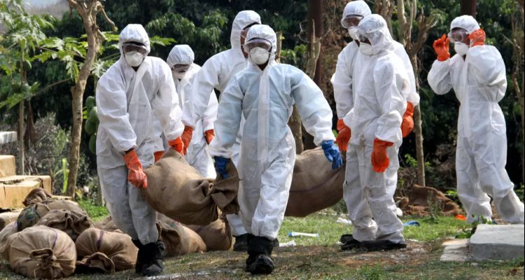 Ölümcül Lassa virüsü yayılıyor: Can kaybı 162’ye çıktı