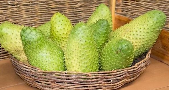 Tarçın Elması Şeker İsteğini Yok Eder mi? Bilim-Damak Yorumu