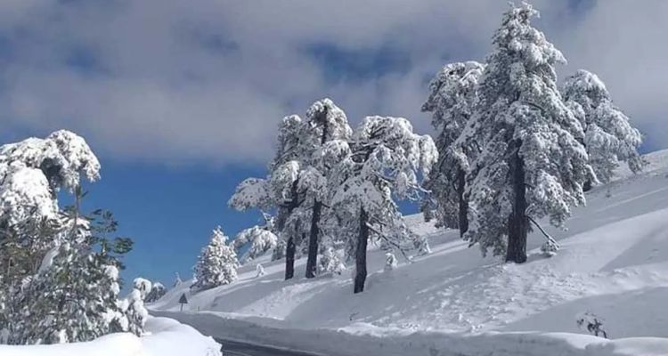 Kıbrıs'ta Sert Hava: Kar Kalınlığı 28 Santimetreye Ulaştı