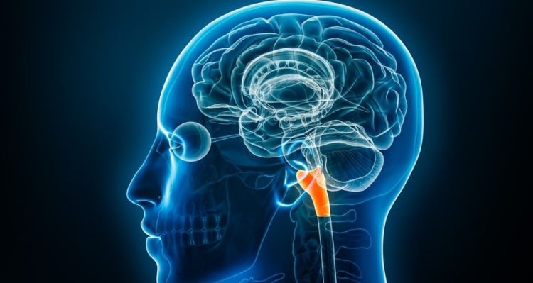 Başarıya Ulaştıran Gizli Yöntem: Akşam Boşaltması Yöntemi