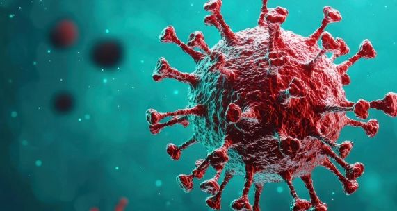 Hantavirüs Penis Küçültür Mü? Viral İddianın Doğruluğu