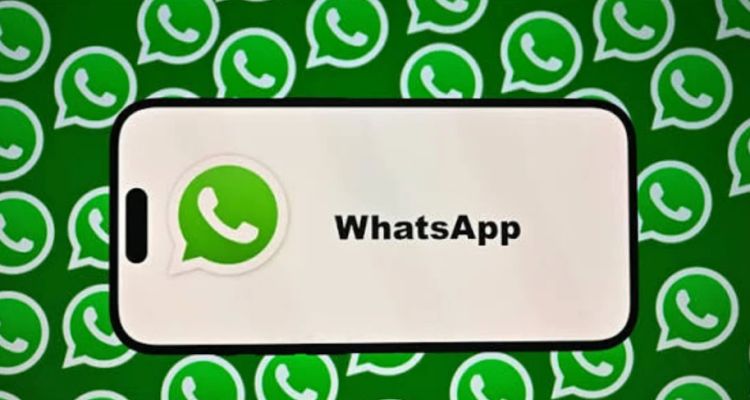 WhatsApp Kullanıcı Adı Nedir, Nasıl Alınır, Neden Görünmüyor?
