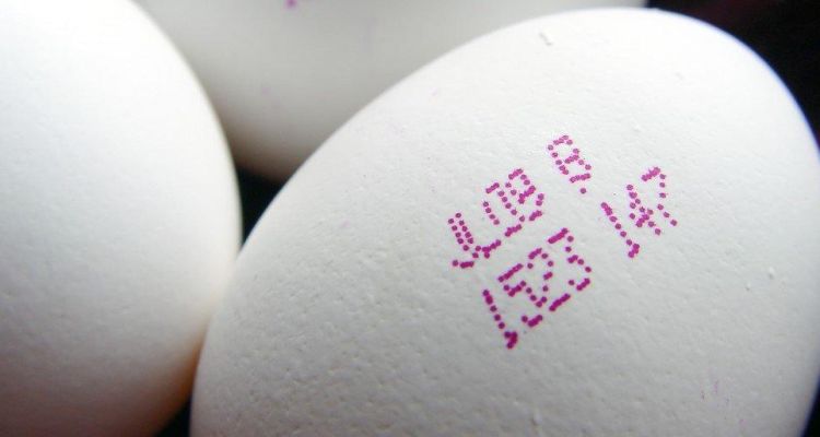 Yumurta Üzerindeki Kodlar Ne Anlama Gelmektedir? 0, 1, 2, 3